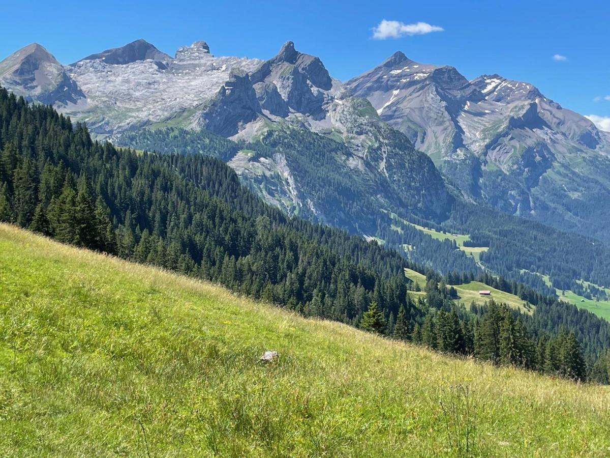 Alpen Charme - Chalet D'Hotes Et Spa Gsteig Exterior photo